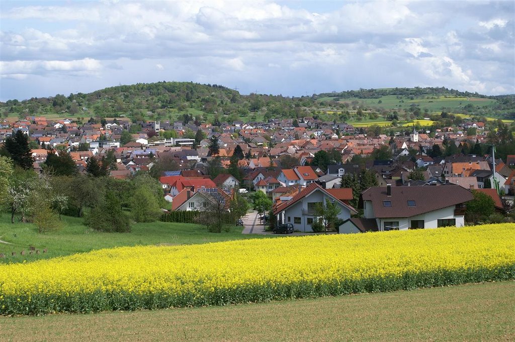 Wilferdingen Rapsfeld by Augenstein