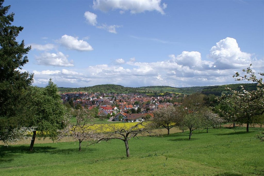 Wilferdingen im Frühling by Augenstein