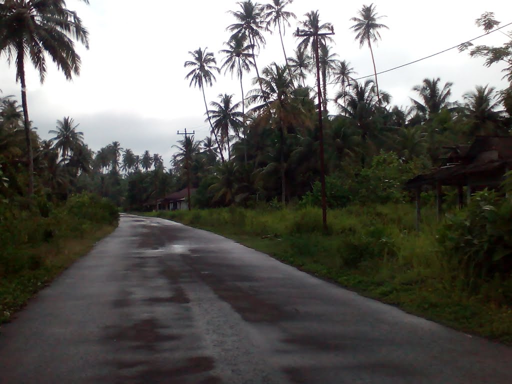 Sirombu, West Nias Regency, North Sumatra, Indonesia by musliono adicipta