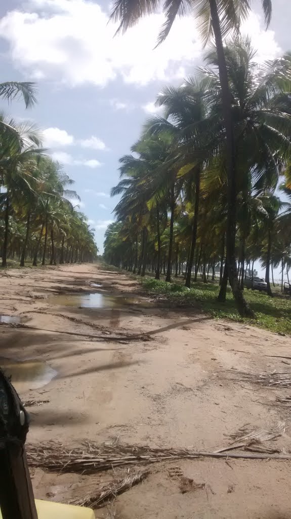 Porto de Galinhas, Ipojuca - PE, Brazil by jairo tessari