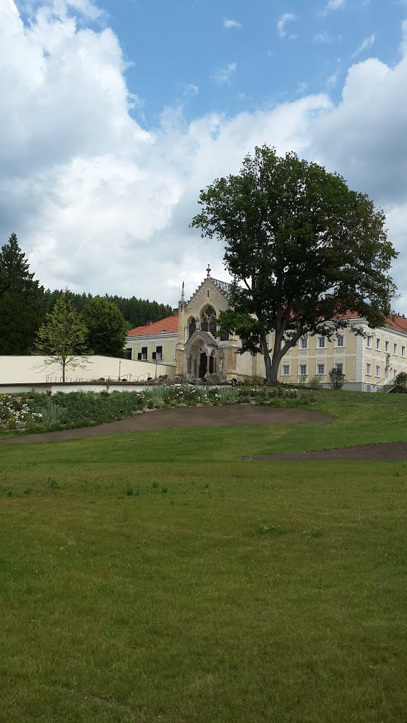 Gemeinde Alland, Austria by UĞUR EKİN