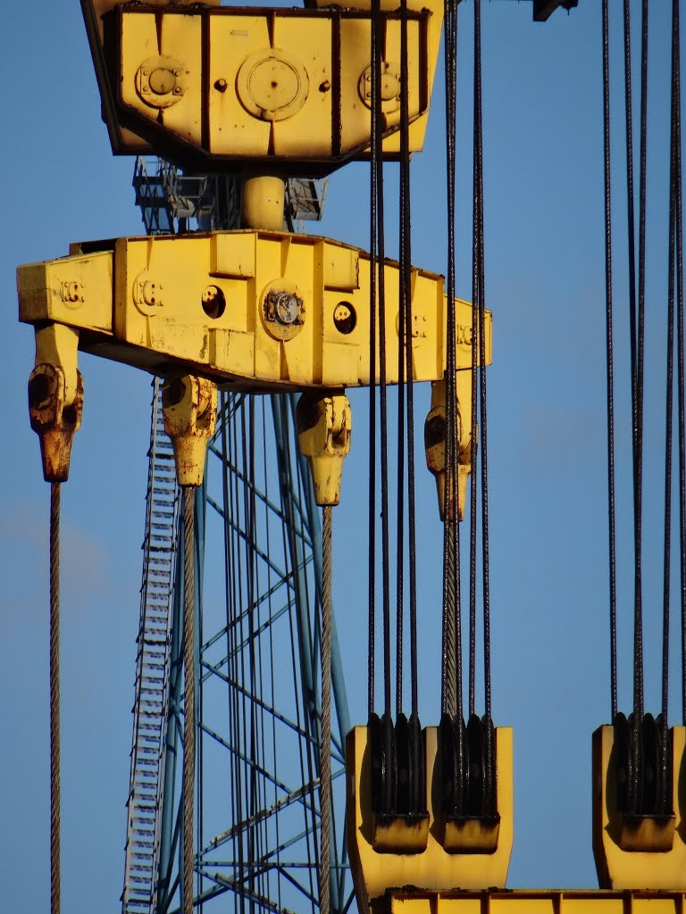 Palans dans le port de Brest by dtoussaint