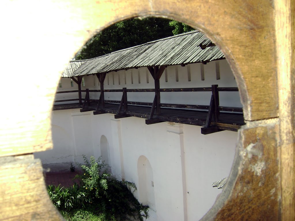 View through the wooden window / Крізь віконечко by Rheltic