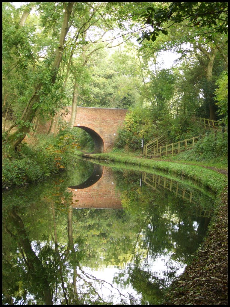 Bridge over Stratford-upon-Avon canal by Llydrwydd