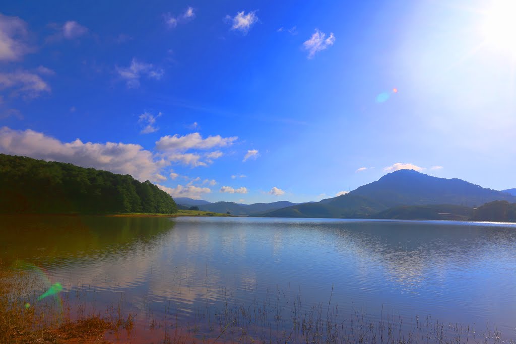 Lát, tp. Đà Lạt, Lâm Đồng, Vietnam by Dần Lê