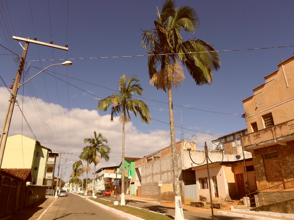 Coqueiros na praça by Pedalêro ̈