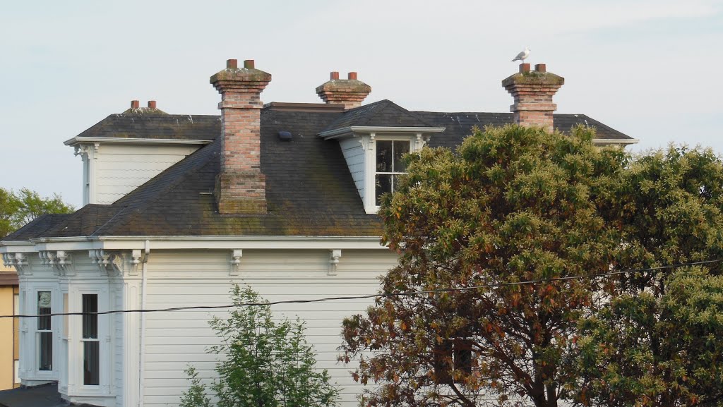 Multi-chimneyed rooftop next to the Ramada (Victoria, BC) by Ingemar Olson