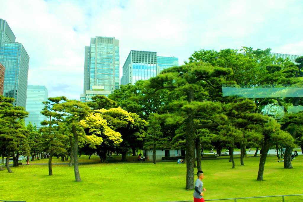 1 Kōkyogaien, Chiyoda-ku, Tōkyō-to 100-0002, Japan by quanphe ngoduc