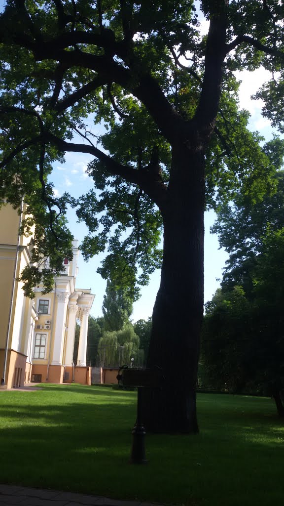 Centraĺny District, Gomel, Belarus by Николай Хведченя