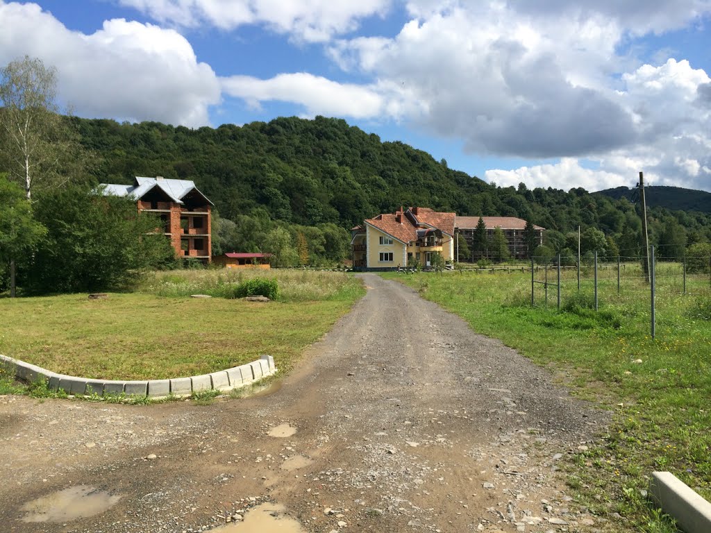 Svalyavs'kyi district, Zakarpats'ka oblast, Ukraine by Vladimir Chemeris