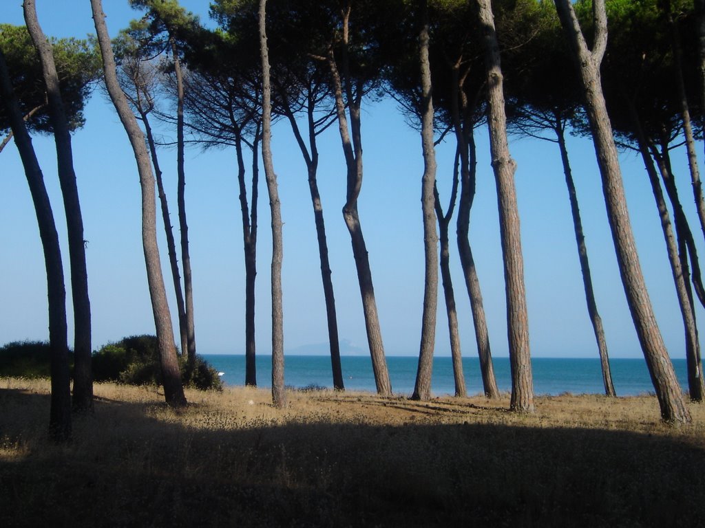 Torre astura by giorgio cavagnaro