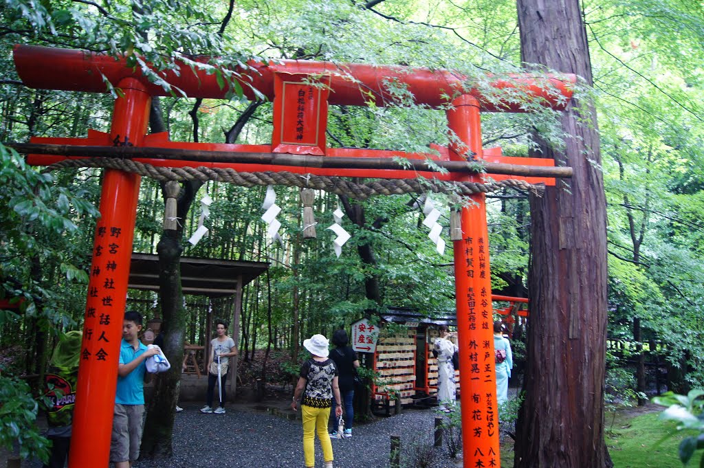 野宮神社 by hnchhu1