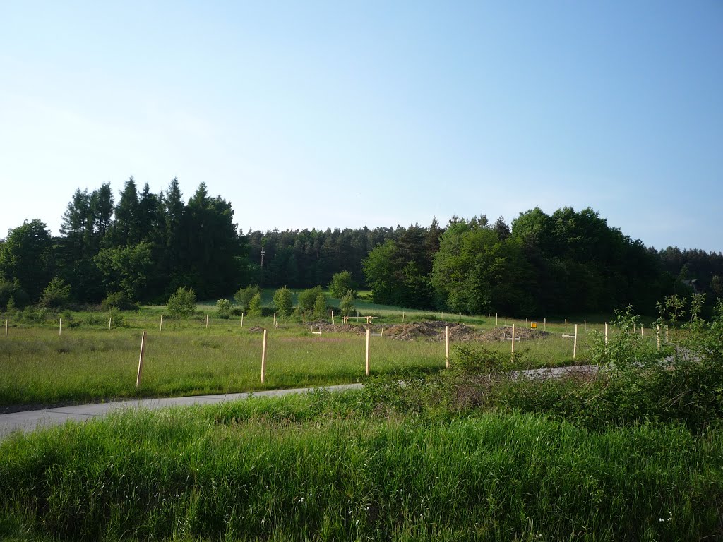 Harbutowice. Przełęcz Sanguszki(jeszcze nie zabudowana).W głębi krzyż konfederatów barskich. by Piotr Golonka