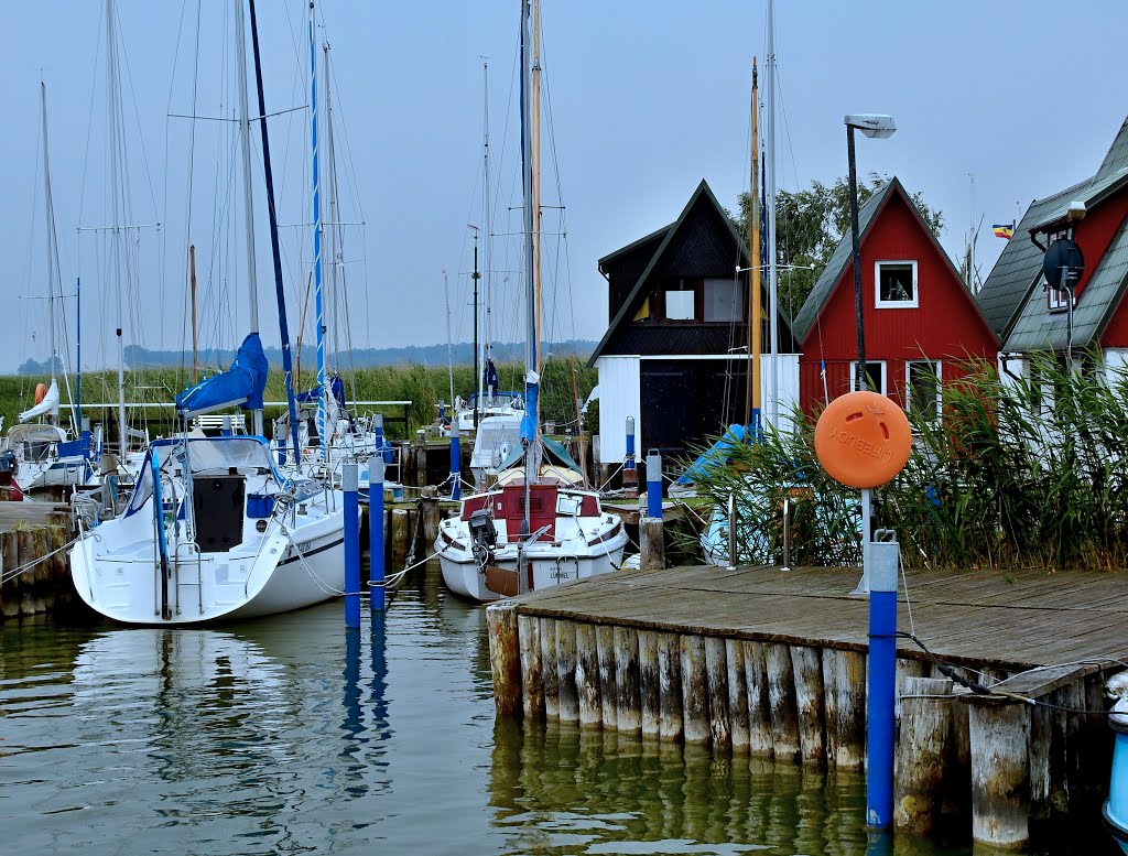 Nordvorpommern, Germany by Bernd Tonagel