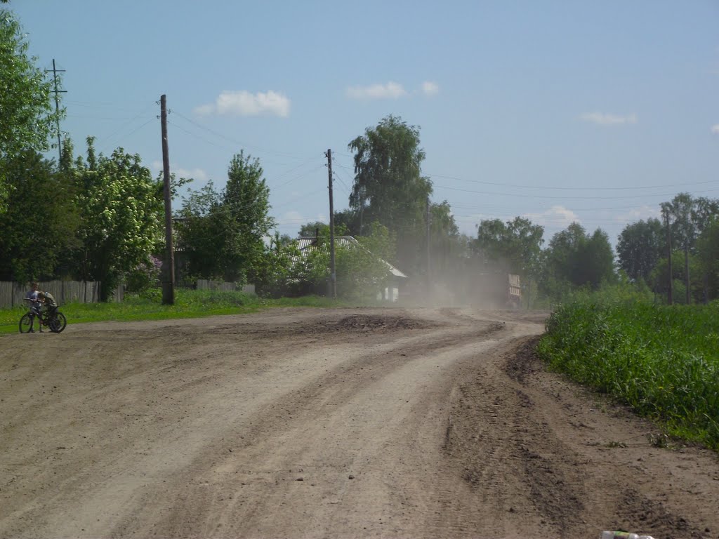 Zarinskiy r-n, Altayskiy kray, Russia by Andy Psyandr