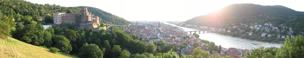 Heidelberg panorama by fmorenomac