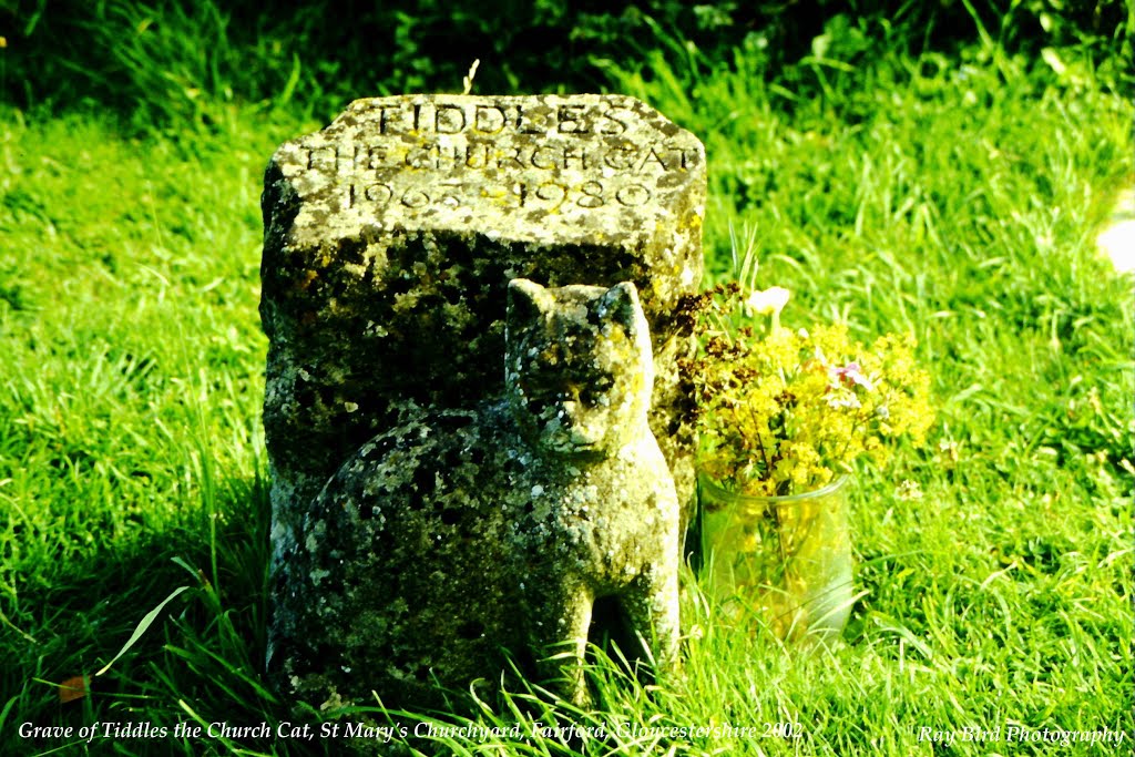 Tiddles the Church Cat's Grave, St Mary's Churchyard, Fairford, Gloucestershire 2002 - see text by Ray Bird