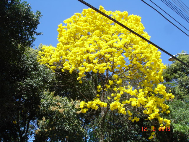 Jardim Jussara, São José dos Campos - SP, Brazil by Renato P.M