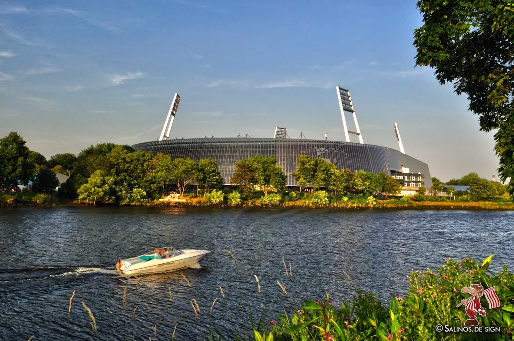 Bremen Weserstadion 0717_7036-(C)FoSalinos by Fotosillus