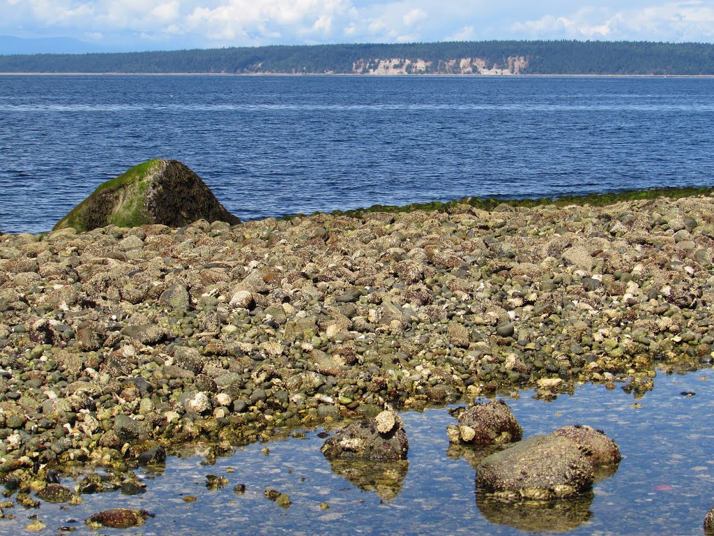 Harwood Island from Willingdon Beach by Chris Sanfino