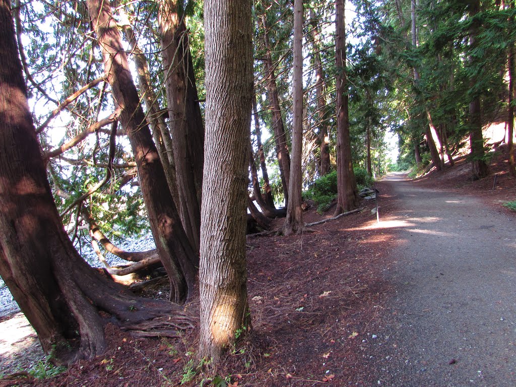 Willingdon Beach Trail by Chris Sanfino