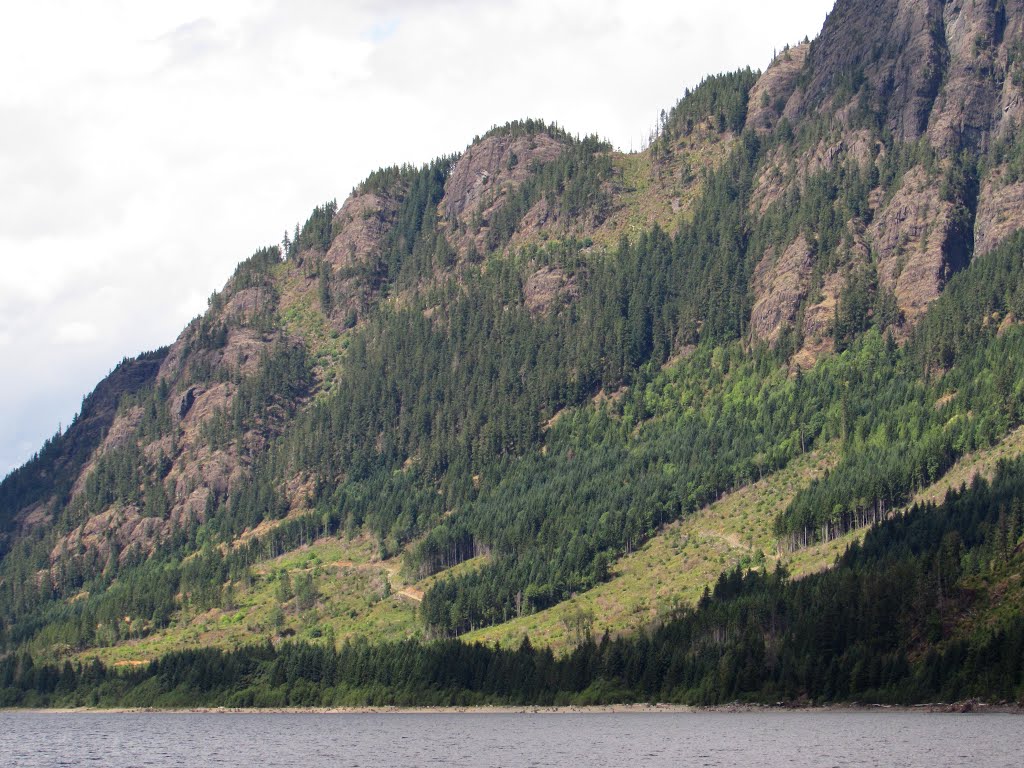 East Slope of Buttle Lake by Chris Sanfino