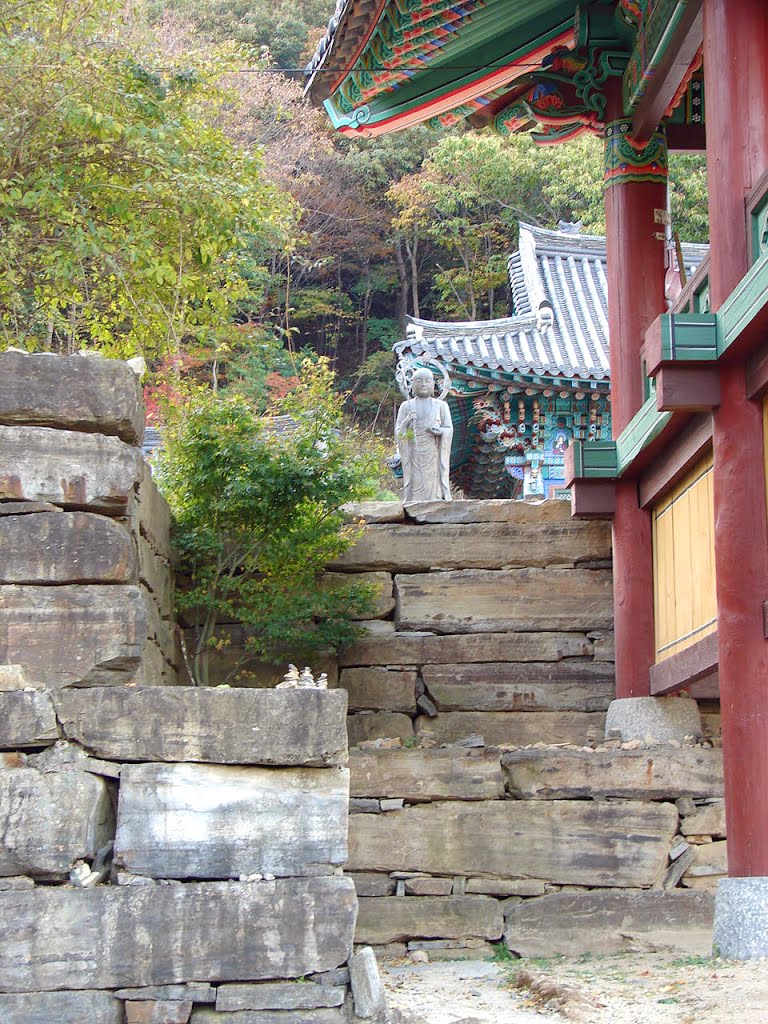 Wonhyosa was built by Monk Wonhyo. According to excavations in 1980, the temple was built as a small hermitage at the end of the Silla dynasty, probably in the 10th century. by steve46814