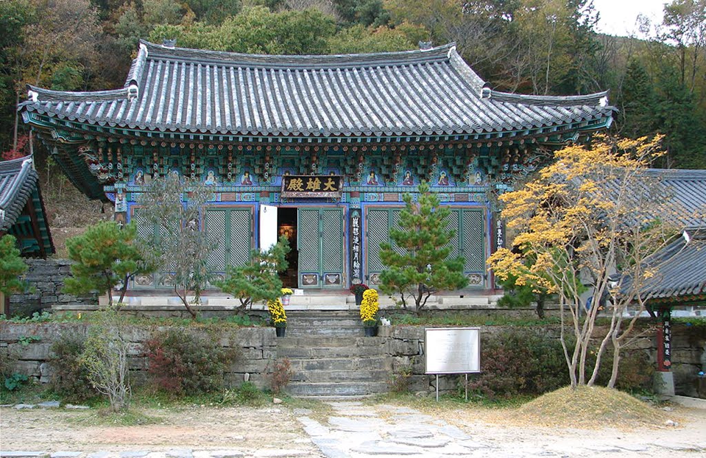 Wonhyosa was built by Monk Wonhyo. According to excavations in 1980, the temple was built as a small hermitage at the end of the Silla dynasty, probably in the 10th century. by steve46814