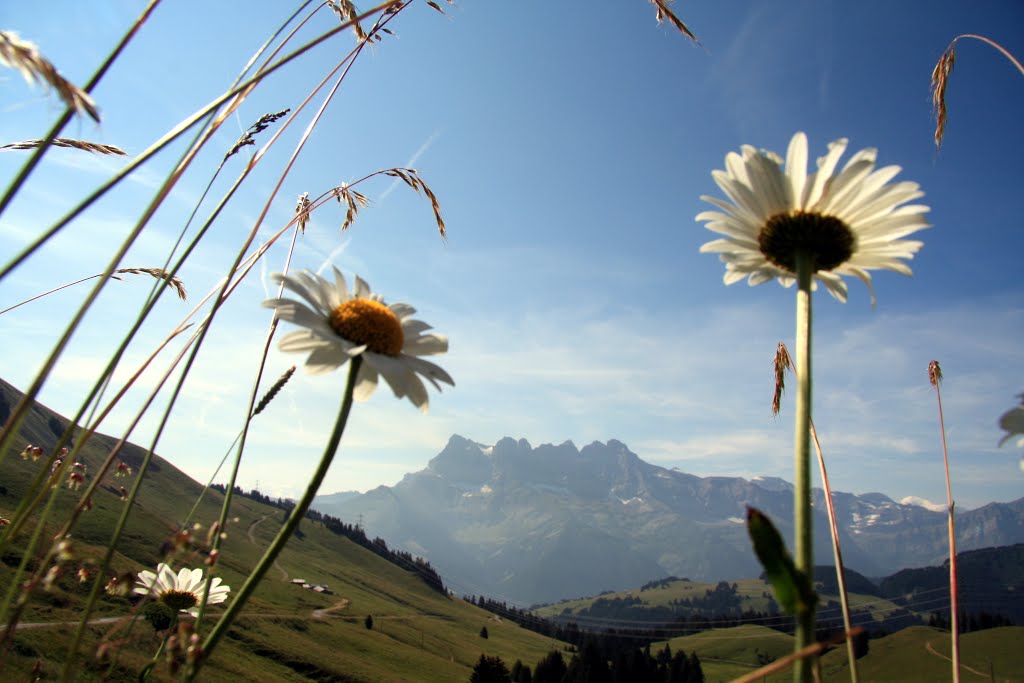 Morgins - Portes du Culet - Vue sur les Dents du Midi by Charly-G. Arbellay