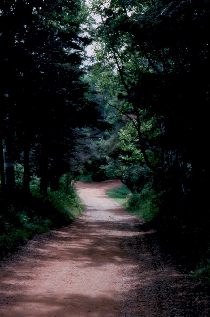 Lovers Lane by Hank Geerlof