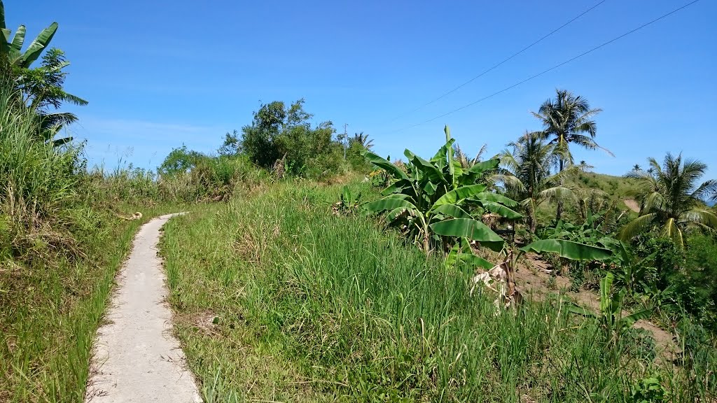 Along the Access Road by Raffy Carisma