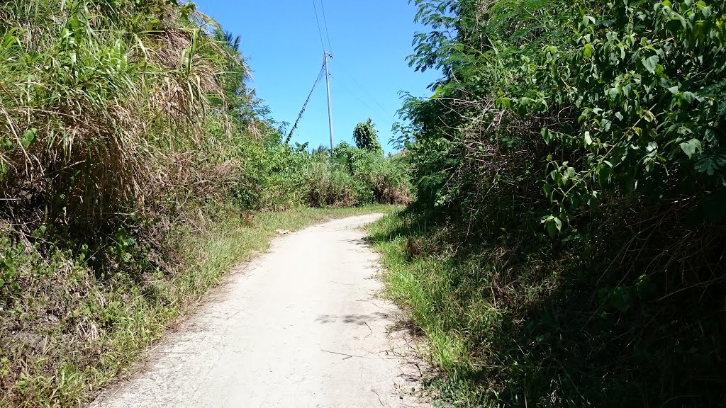 Along the Access Road by Raffy Carisma