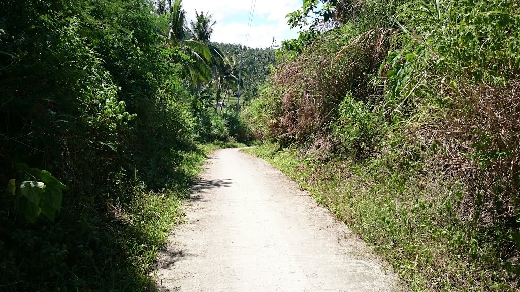 Along the Access Road by Raffy Carisma