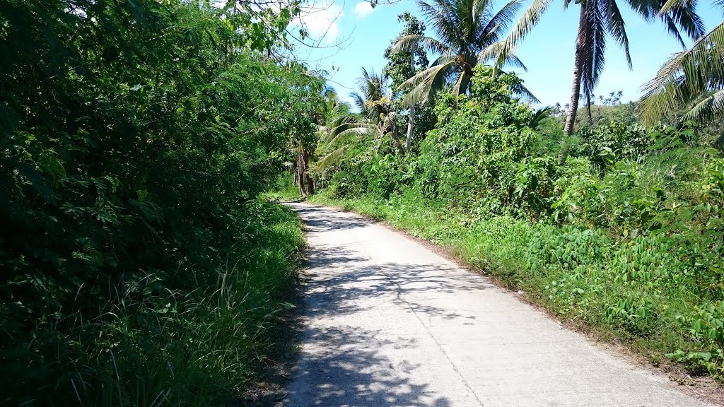 Along the Access Road by Raffy Carisma