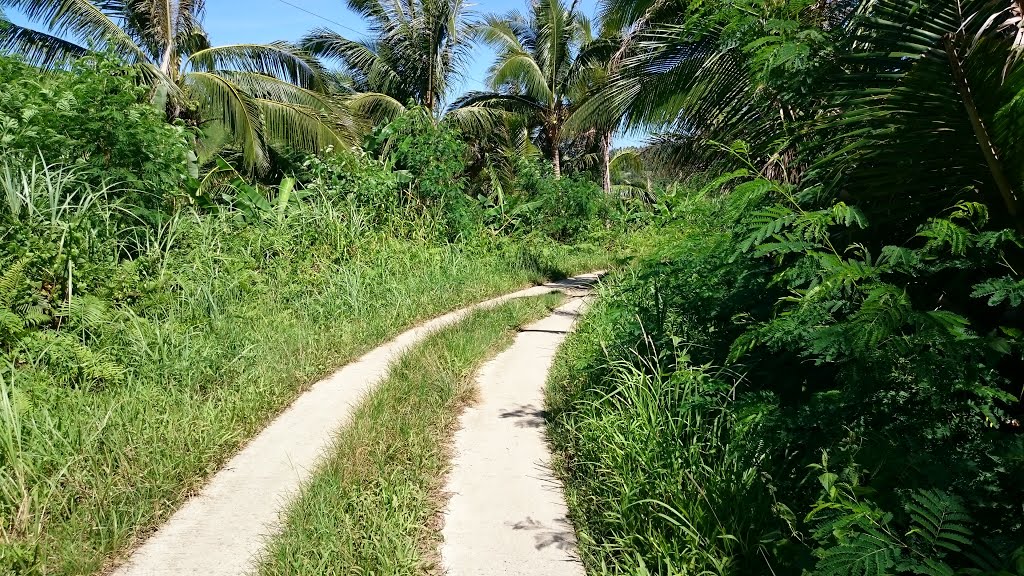 Along the Access Road by Raffy Carisma