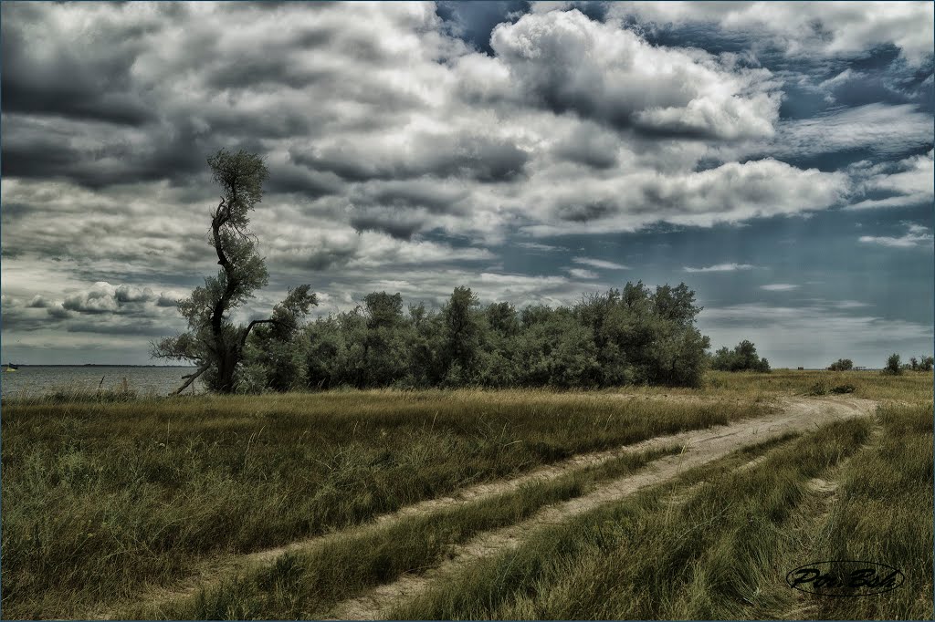 Road to the shade. Kinburn Spit, Ukraine. Etude #150630DSC1058. by Юрий Бышев