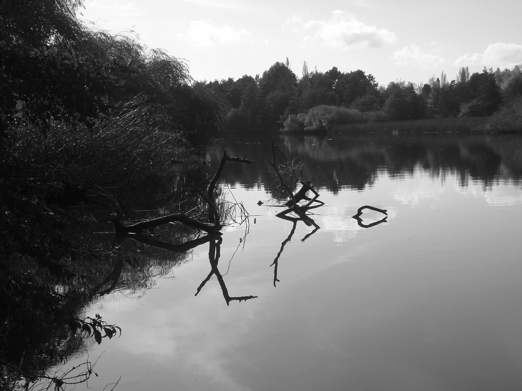 Parque Botánico, UACH by Cristobal Puig