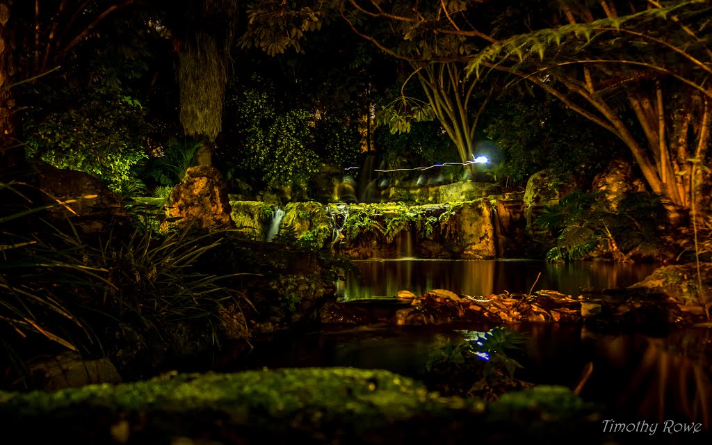 Amongst the Fairies at John Oldham Park by Timothy Rowe