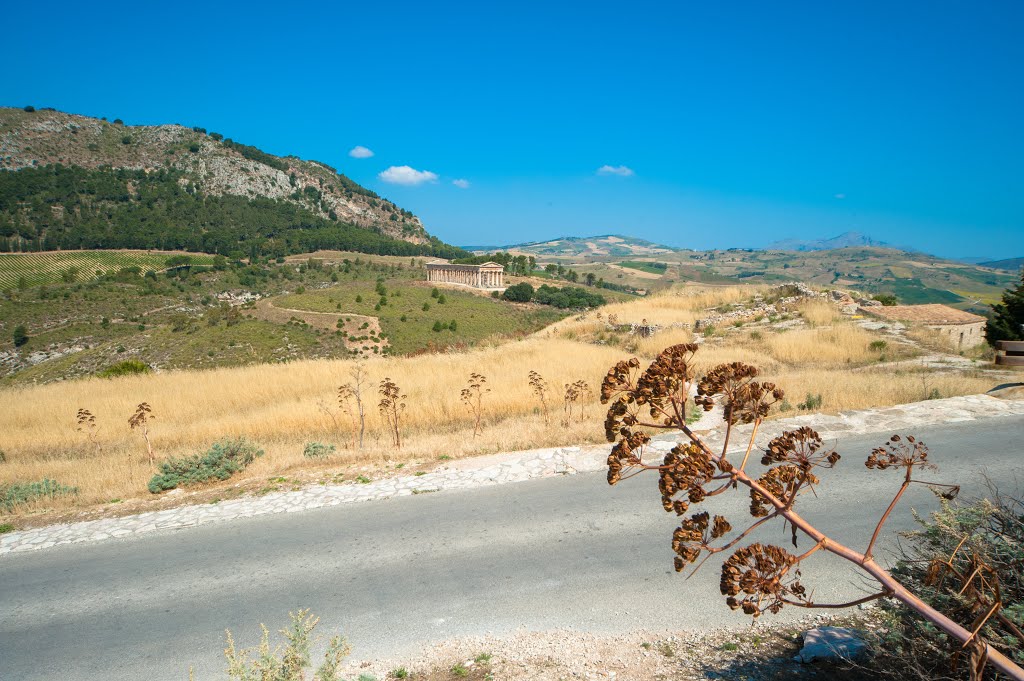 Segesta: Greek Temple by Oliver Grebenstein