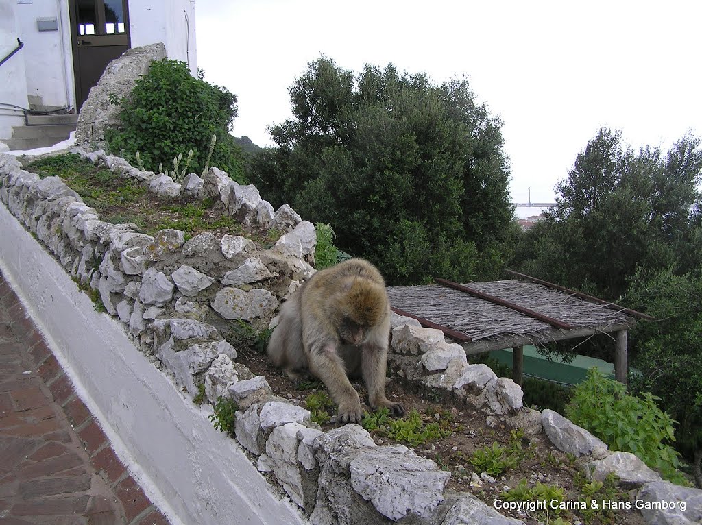 Gibraltar GX11 1AA, Gibraltar by Hans Gunnar Gamborg