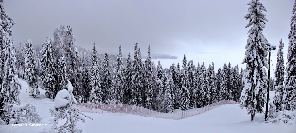 View from slope in Ukko-Koli, Finland by svetlana dorokhova