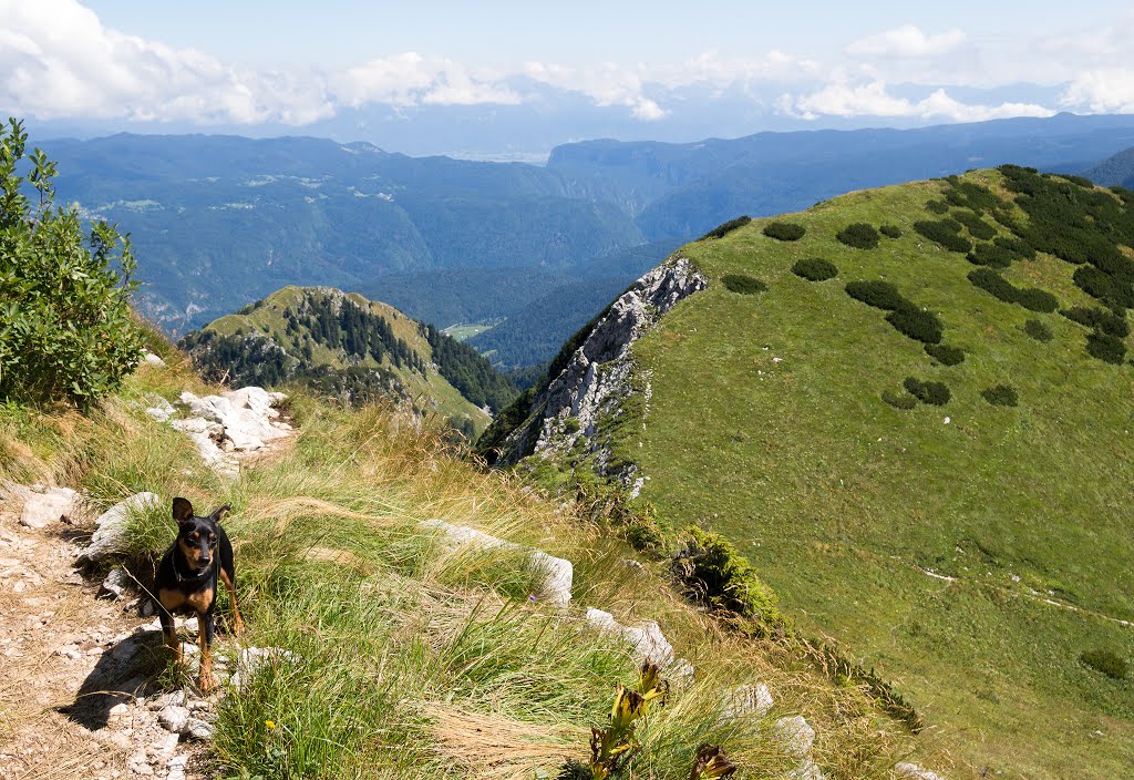 4264 Ravne v Bohinju, Slovenia by Bojan Marušič