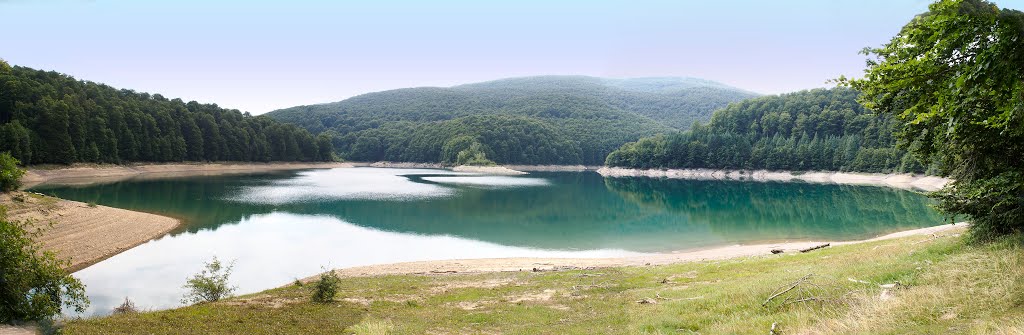 SELVA DE IRATI - EMBALSE DE IRABIA by Jose Lozano