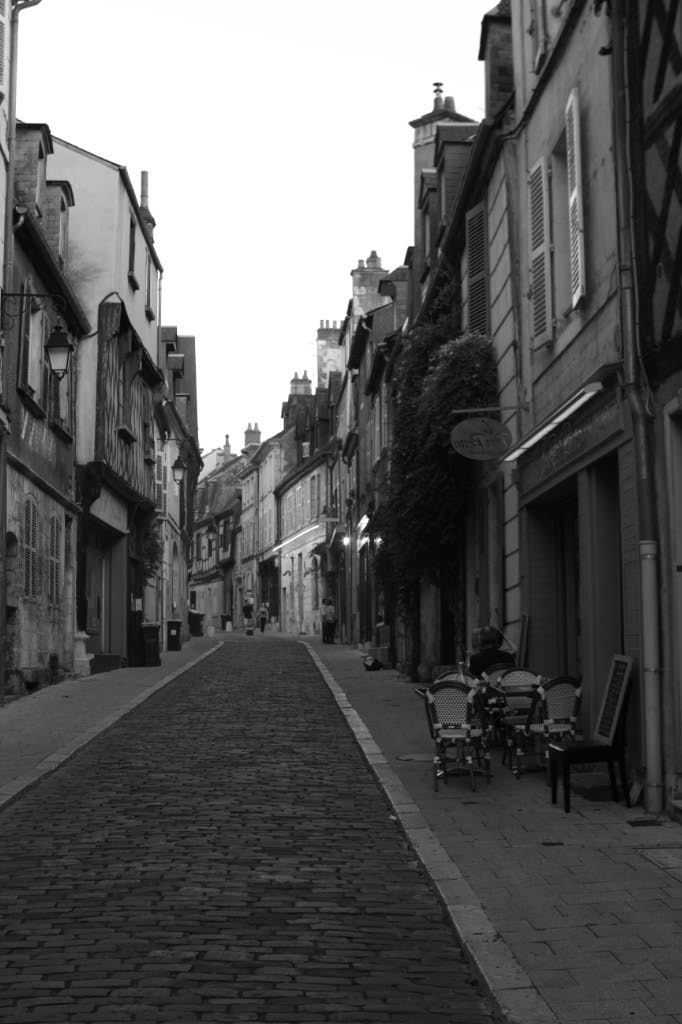 LA RUE BOURBONNOUX A BOURGES by Adant Frederic