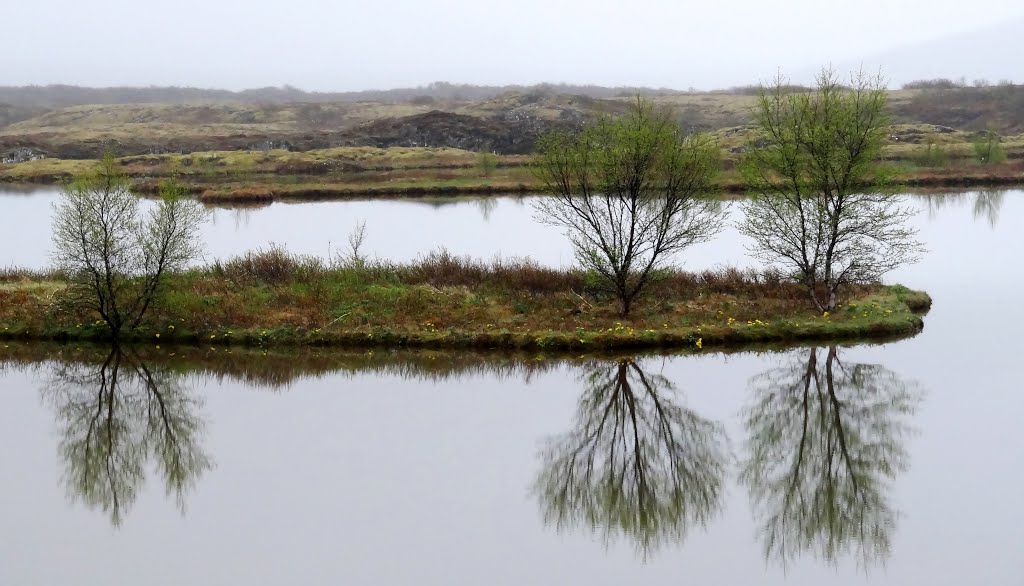 3 reflections in the ponds in the Mid-Atlantic Ridge, Þingvellir National Park, Iceland by John Eby