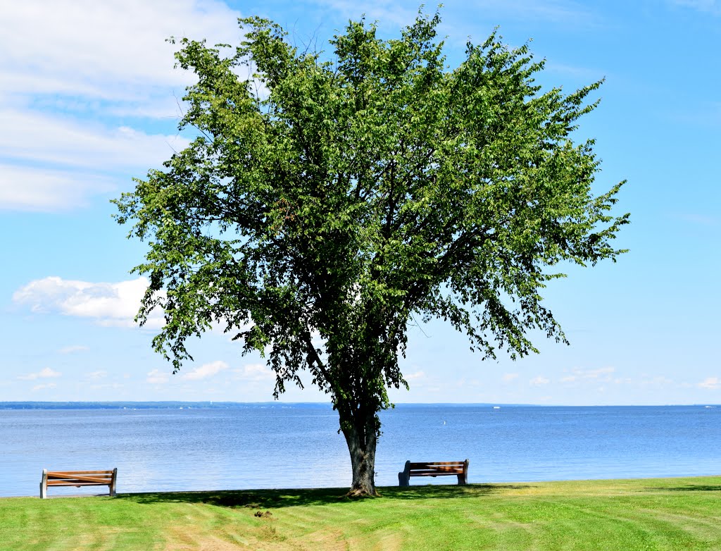 Oneida Lake, Lakeshore Drive NY by Paul Hughes