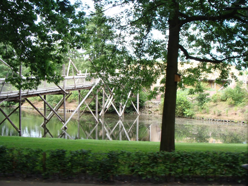 De Brug bij de Piraña by Remco Kohler