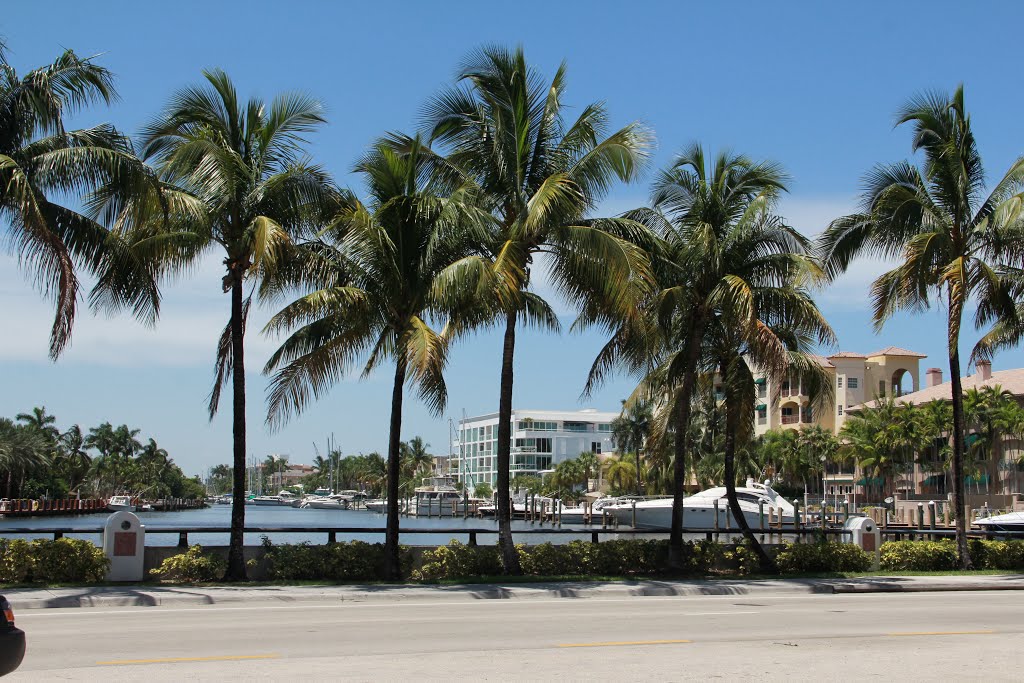 Las Olas Blvd by Dean Zanello