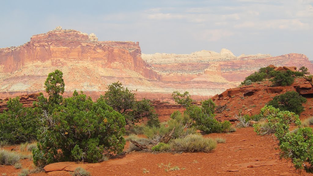 Sunset Point, Capitol Reef NP by Walter Brunner