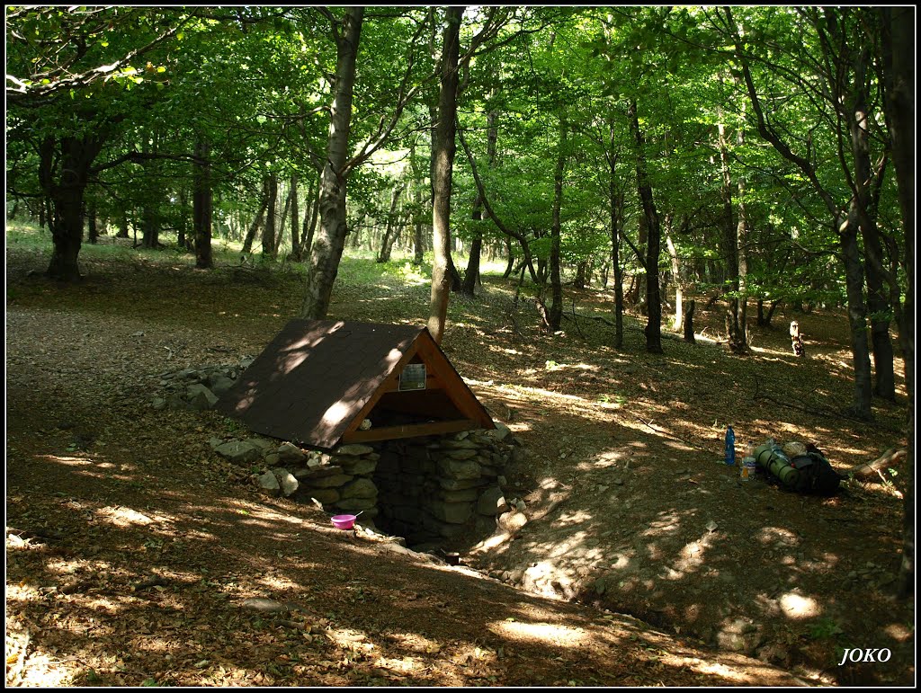 PUSTOVNÍKOVÁ STUDNIČKA POD VEĽKÝM TRIBEČOM by < JOKO >